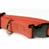 Showroom Decoy Dog Collar In Webbing Orange 40cm