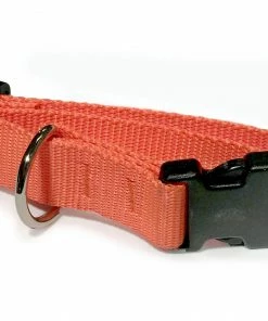 Showroom Decoy Dog Collar In Webbing Orange 40cm