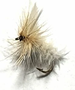 Stillwater Dry White Moth - 1 Dozen