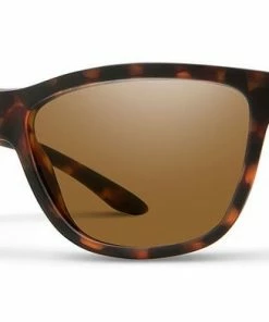 Smith Optics Eclipse Black Polar Gray Green