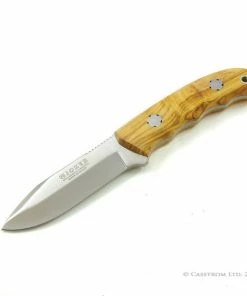 Joker Ergonomic Hunter Olive Wood Handle Sheath Knife (9cm MOVA Stainless Steel Blade)