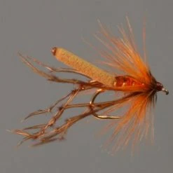 Stillwater Fiery Brown Daddy