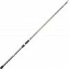 Sert Fish Instinct Fw20 Teletrout 3.00m (Max 30g)