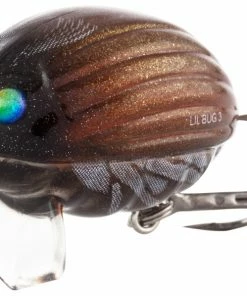 Salmo Floating Lil' Bug 30mm