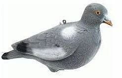 Seeland Flock Decoy Pigeon Full Body Standing