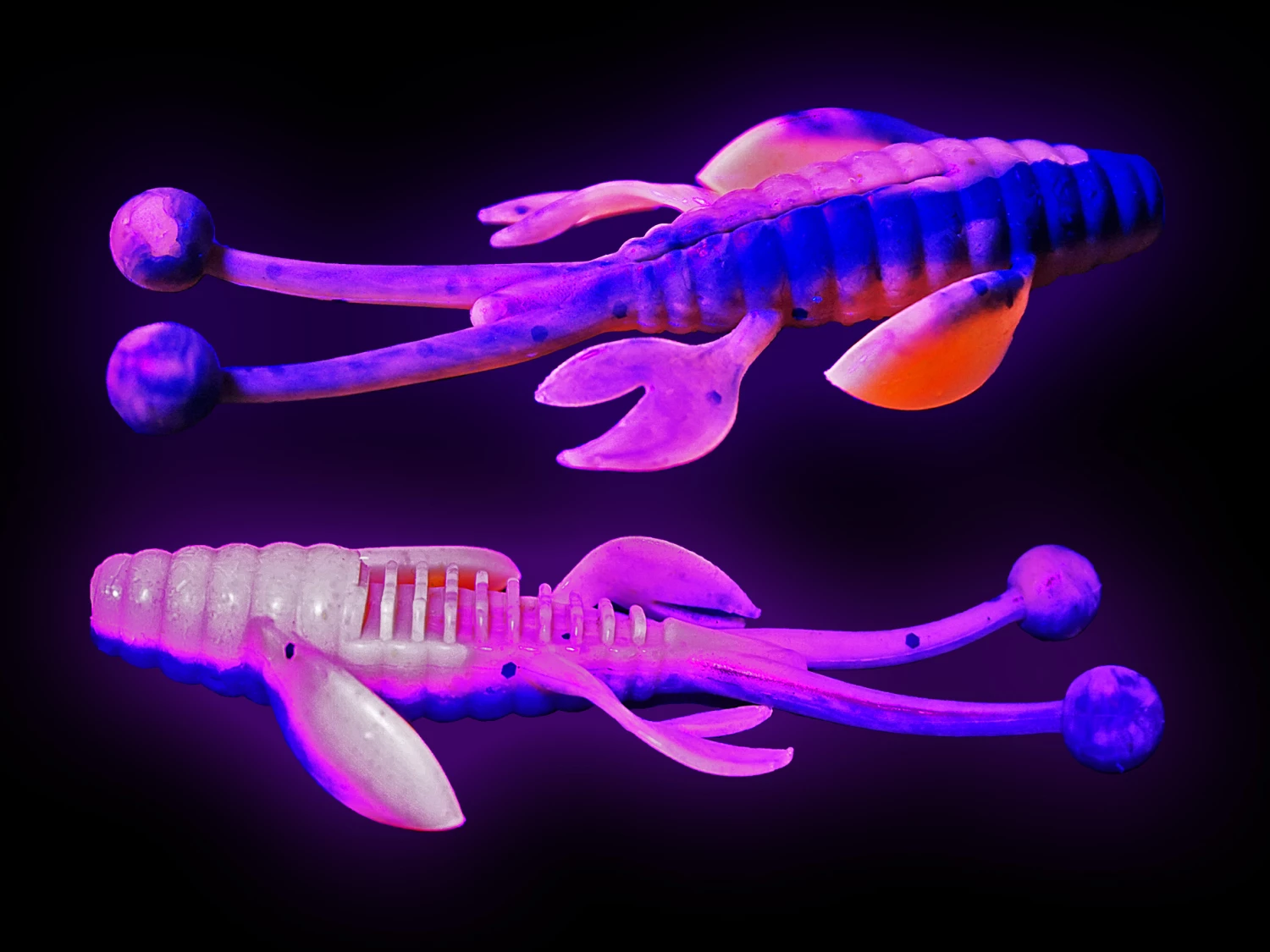 Molix Freaky Flex 3in/7.5cm 6pc 18 Molix Freaky Flex 3in/7.5cm 6pc - Image 18