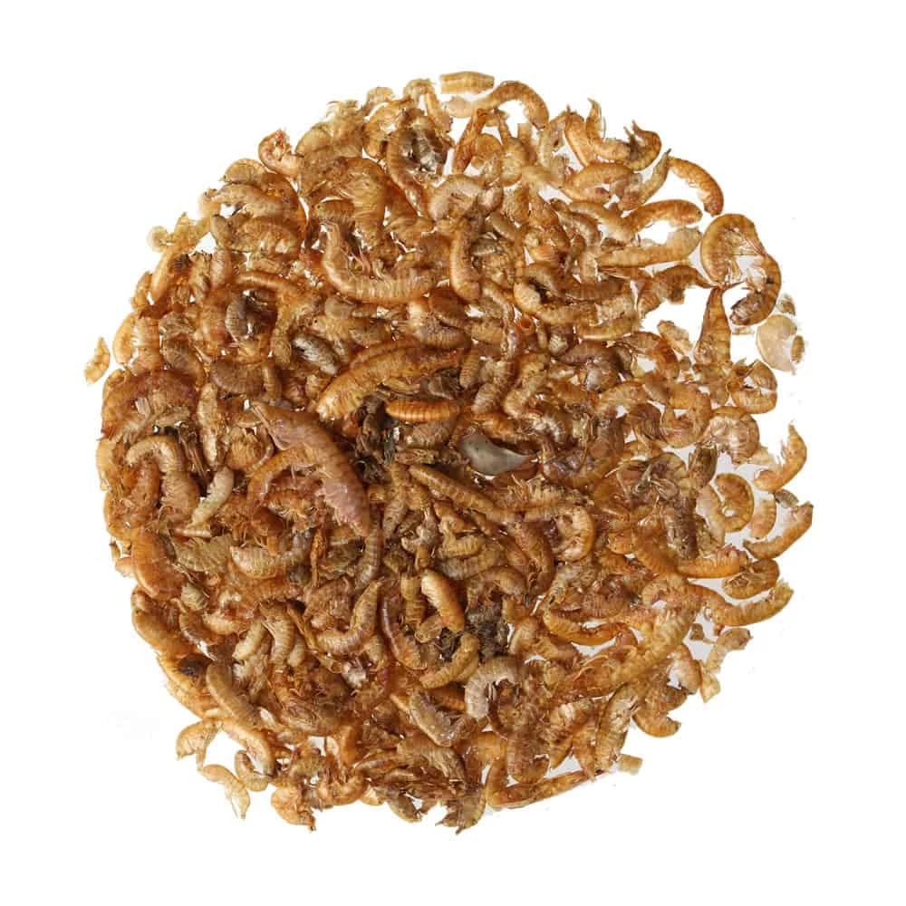 Pallatrax Dried Gammarus Shrimp 2 Pallatrax Dried Gammarus Shrimp - Image 2