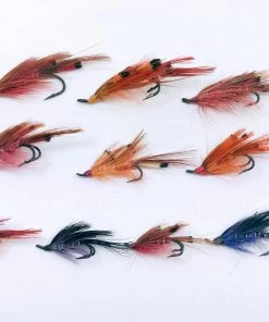 Stillwater 10x Salmon General Practitioners