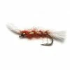 Stillwater Ginger Shipmans Buzzer - 1 Dozen
