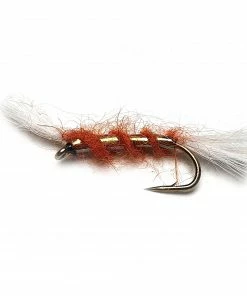 Stillwater Ginger Shipmans Buzzer - 1 Dozen