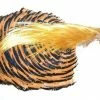 Veniard Golden Pheasant Complete Head