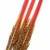 Veniard Golden Pheasant Red Spears
