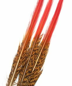 Veniard Golden Pheasant Red Spears