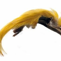 Veniard Golden Pheasant Topping Crest