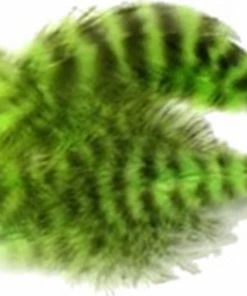 Lureflash Grizzly Marabou -Glasgow Angling grizzly marabou lime