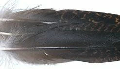 Veniard Grouse Centre Tails