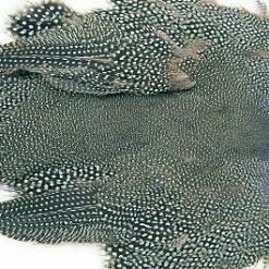 Veniard Guinea Fowl Complete Skin