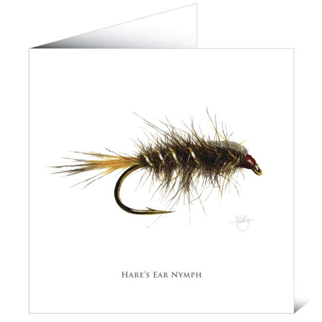 Mayfly Art Hare's Ear Nymph Greetings Card 1 Mayfly Art Hare's Ear Nymph Greetings Card