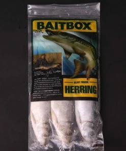 Baitbox Frozen Herring
