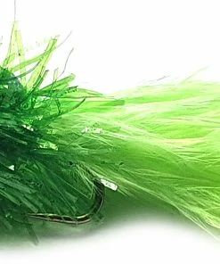 Stillwater Hump Back Lime - 1 Dozen