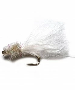 Stillwater Hump Back White - 1 Dozen