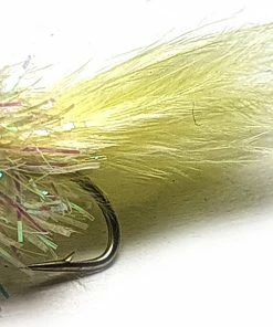 Stillwater Hump Back Yellow - 1 Dozen