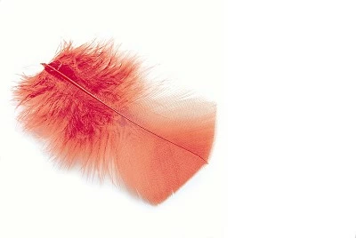 Veniard Ibis Subs 1 Veniard Ibis Subs