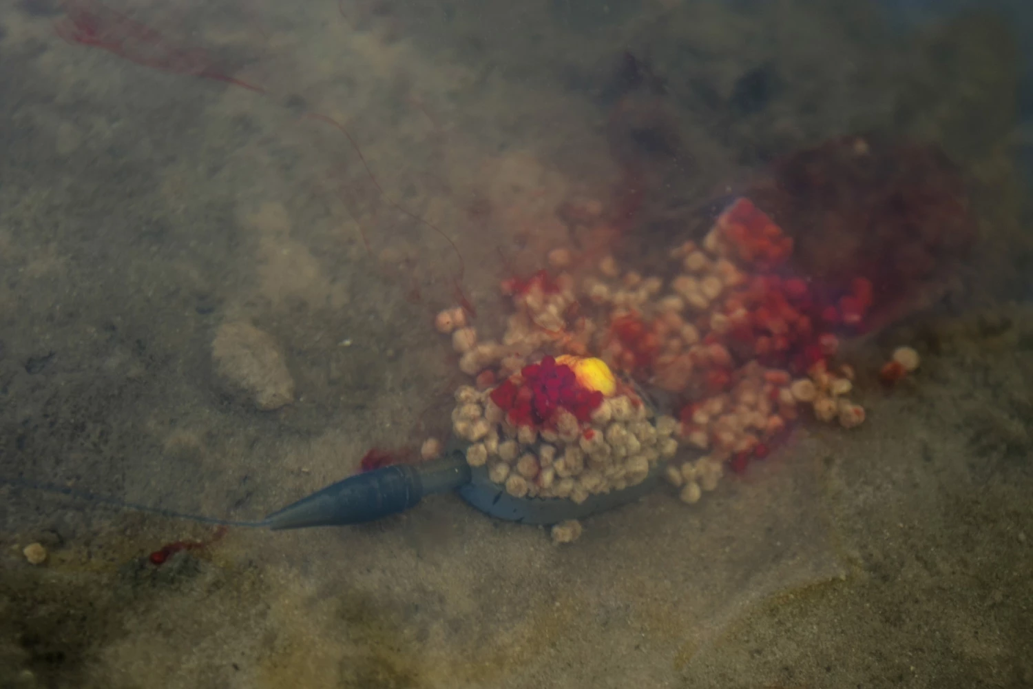 Preston Innovations ICS In-Line Dura Flat Method Feeder 2 Preston Innovations ICS In-Line Dura Flat Method Feeder - Image 2