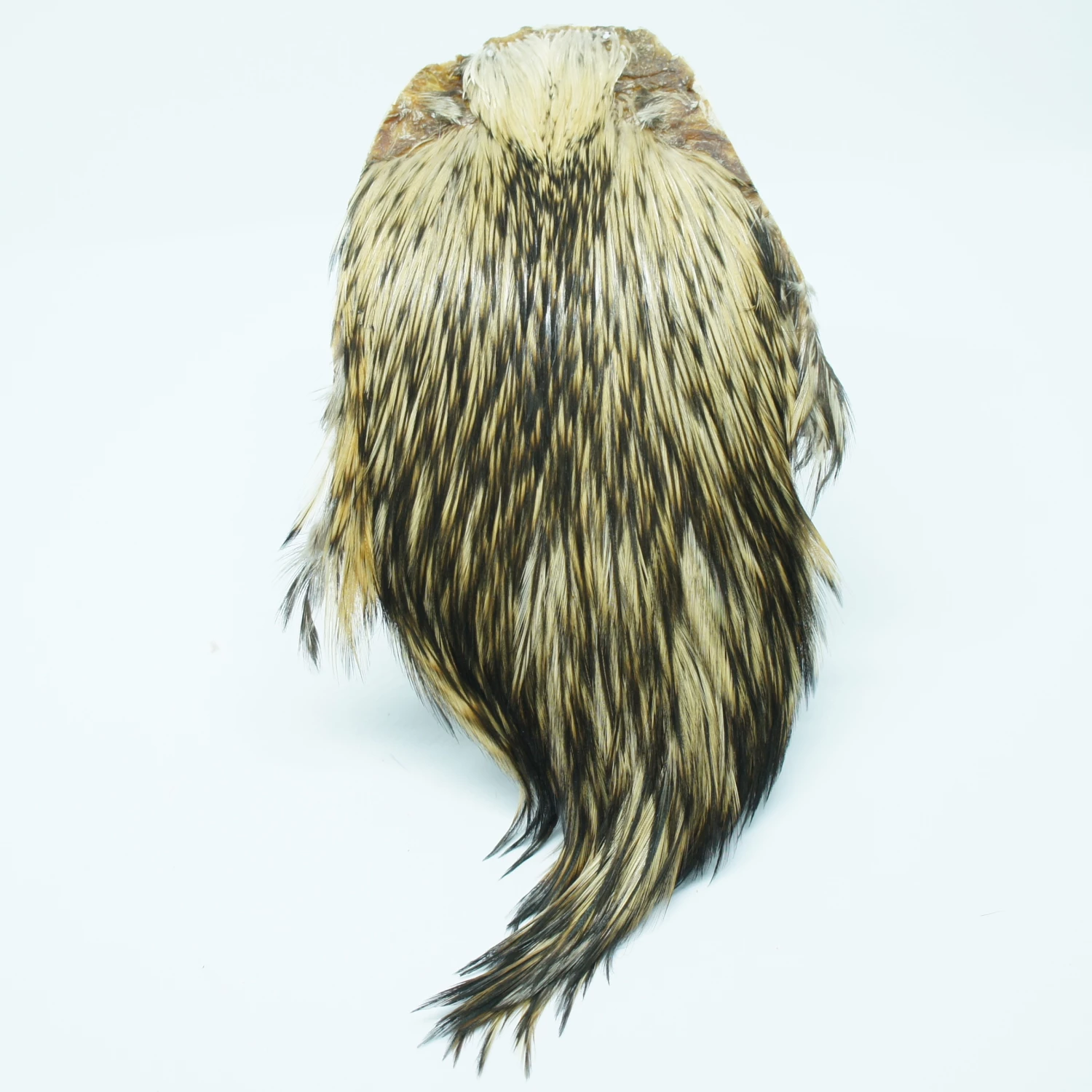 Stillwater Indian Cock Capes 2 Stillwater Indian Cock Capes - Image 2