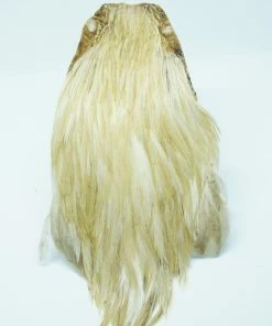 Stillwater Indian Cock Capes 12 Stillwater Indian Cock Capes -Glasgow Angling indian capes cock cream scaled