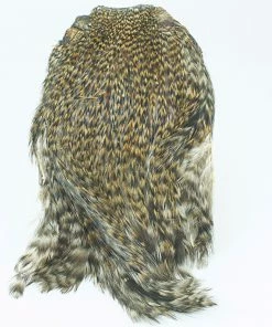 Stillwater Indian Cock Capes 13 Stillwater Indian Cock Capes -Glasgow Angling indian capes cock cree