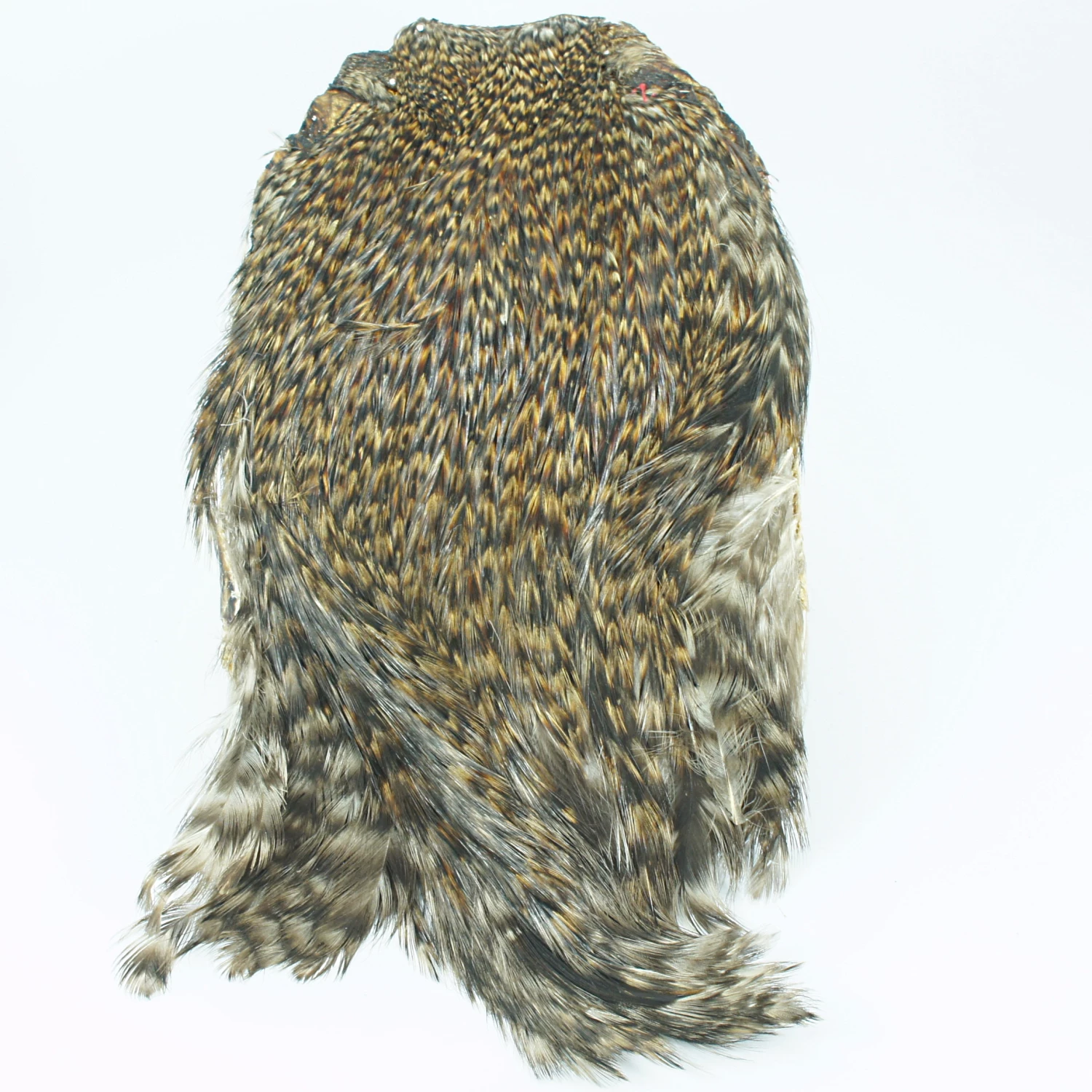 Stillwater Indian Cock Capes 4 Stillwater Indian Cock Capes - Image 4