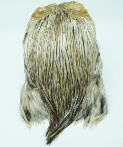 Stillwater Indian Cock Capes 14 Stillwater Indian Cock Capes -Glasgow Angling indian capes cock dun