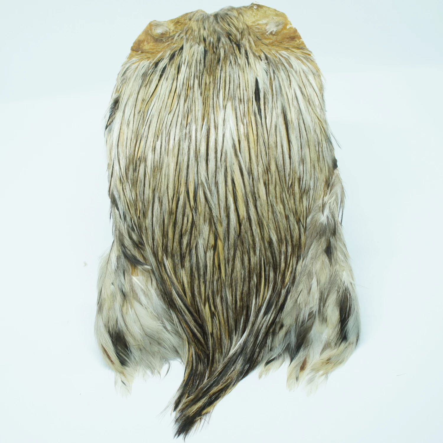 Stillwater Indian Cock Capes 5 Stillwater Indian Cock Capes - Image 5