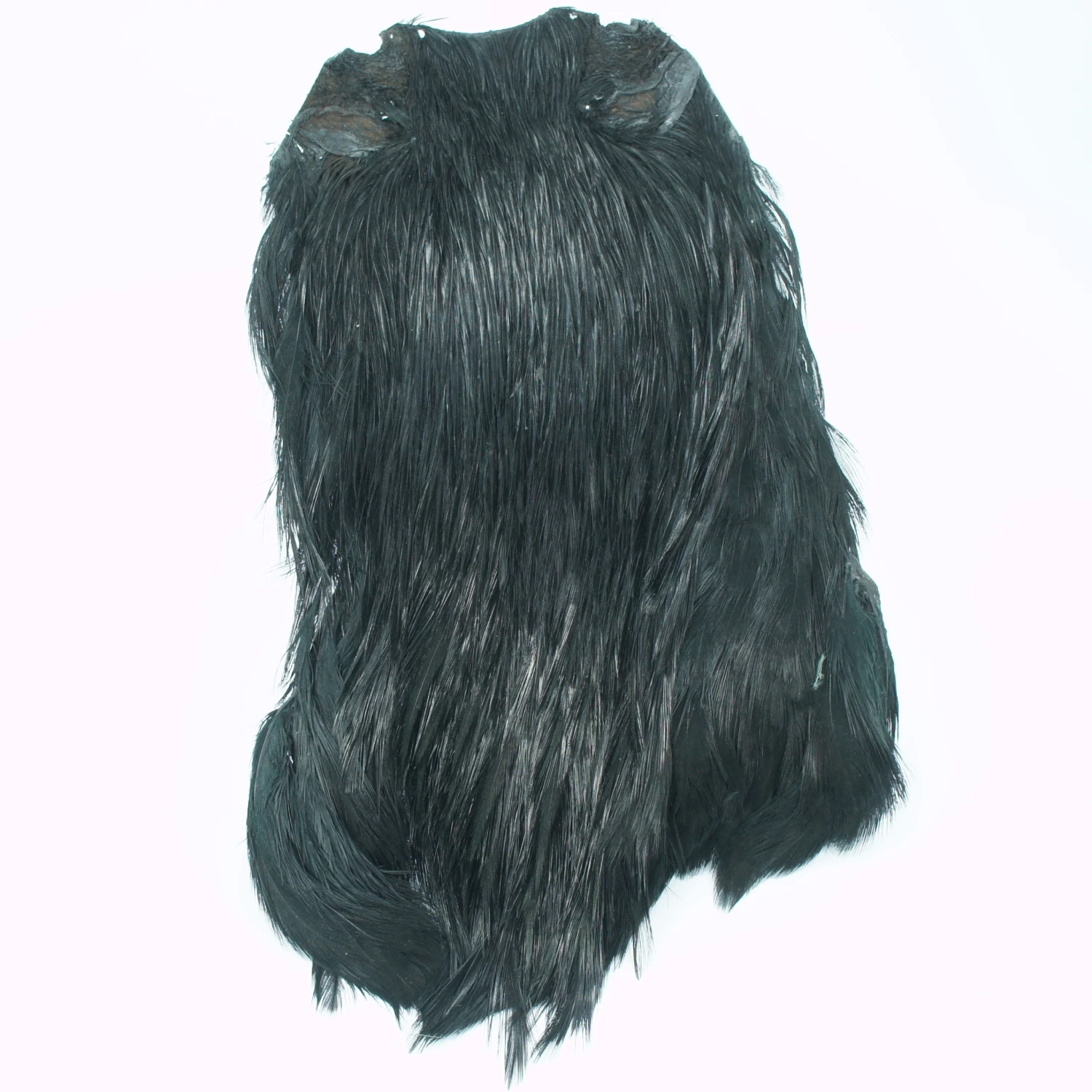 Stillwater Indian Cock Capes 6 Stillwater Indian Cock Capes - Image 6