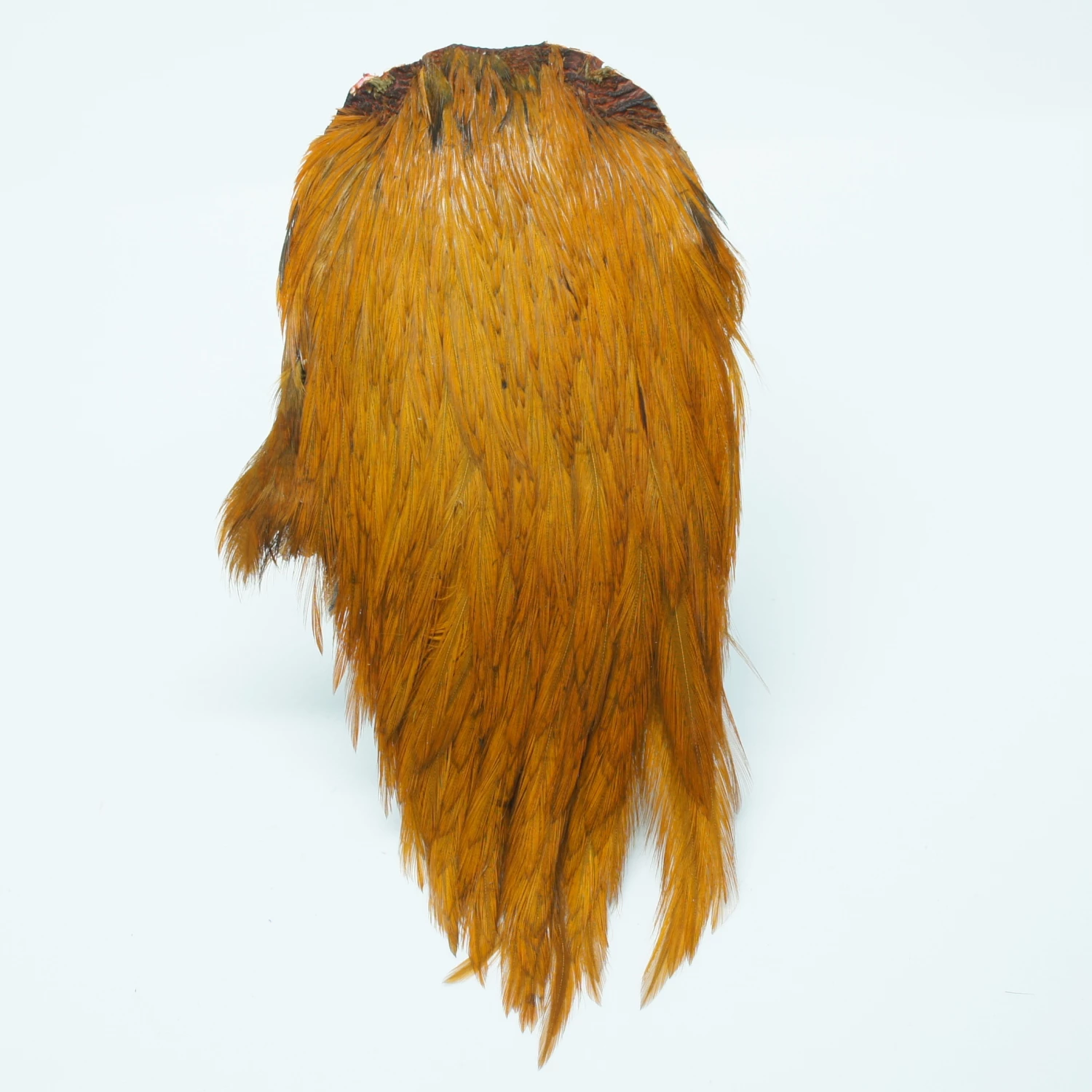 Stillwater Indian Cock Capes 7 Stillwater Indian Cock Capes - Image 7