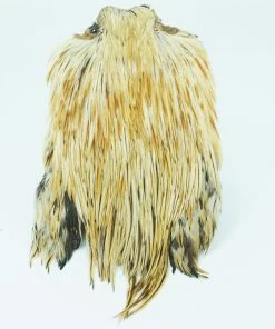 Stillwater Indian Cock Capes 18 Stillwater Indian Cock Capes -Glasgow Angling indian capes cock ginger