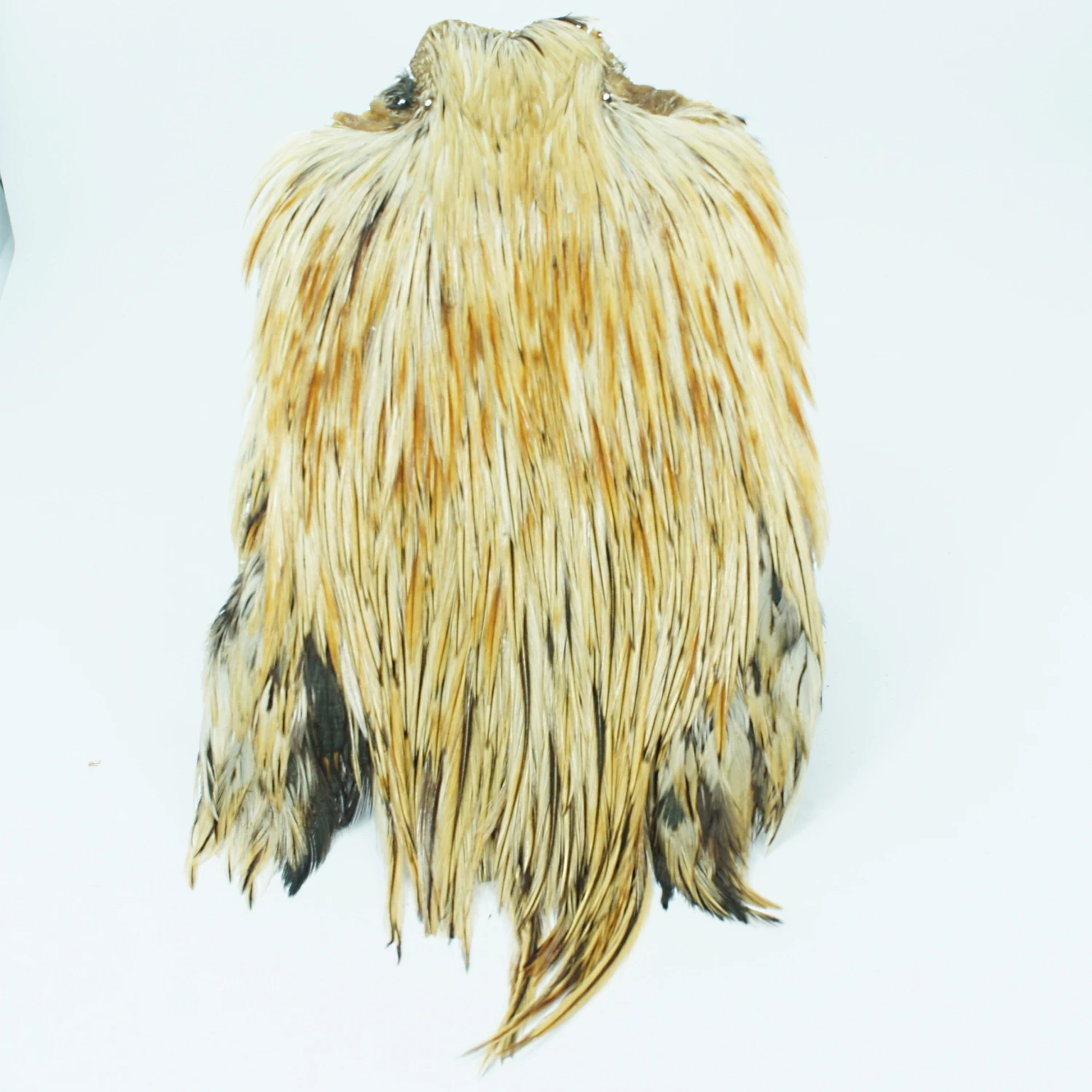 Stillwater Indian Cock Capes 9 Stillwater Indian Cock Capes - Image 9