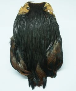 Stillwater Indian Cock Capes 19 Stillwater Indian Cock Capes -Glasgow Angling indian capes cock nat black