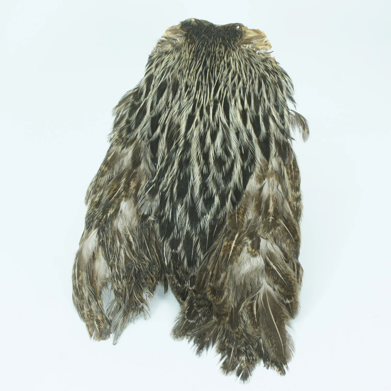 Stillwater Indian Hen Capes 2 Stillwater Indian Hen Capes - Image 2