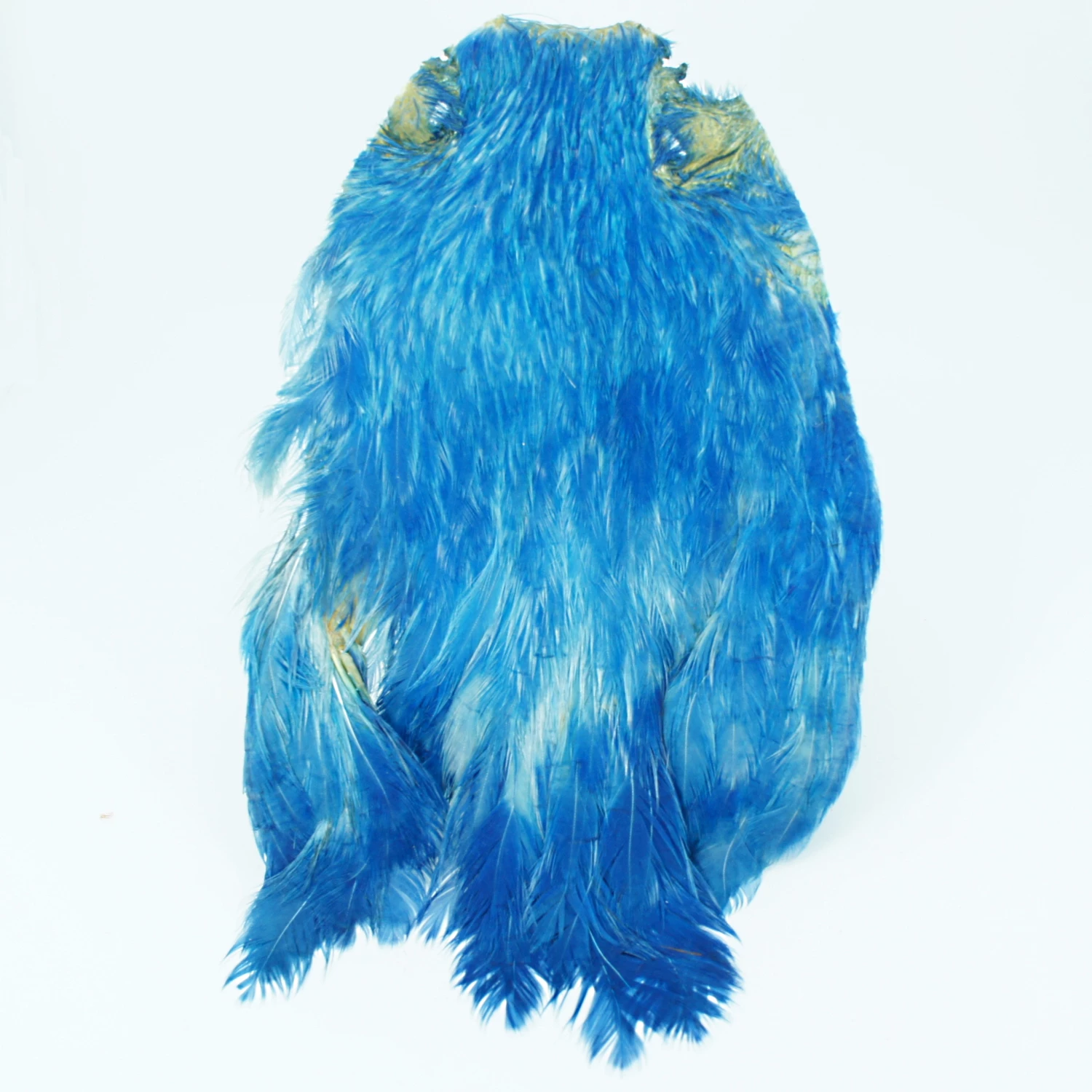 Stillwater Indian Hen Capes 4 Stillwater Indian Hen Capes - Image 4