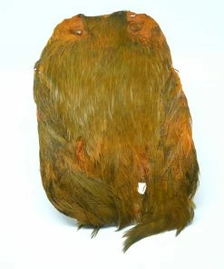 Stillwater Indian Hen Capes