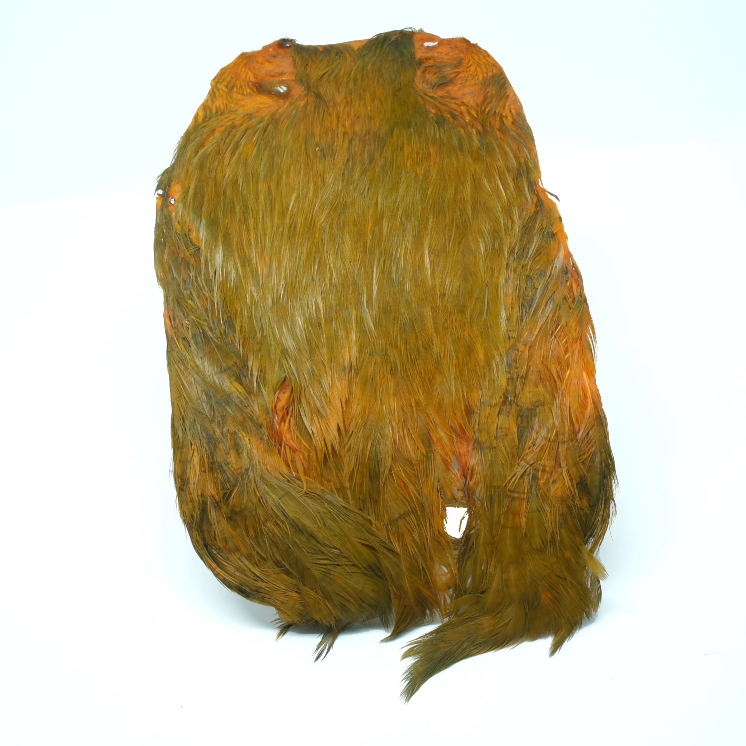 Stillwater Indian Hen Capes 1 Stillwater Indian Hen Capes