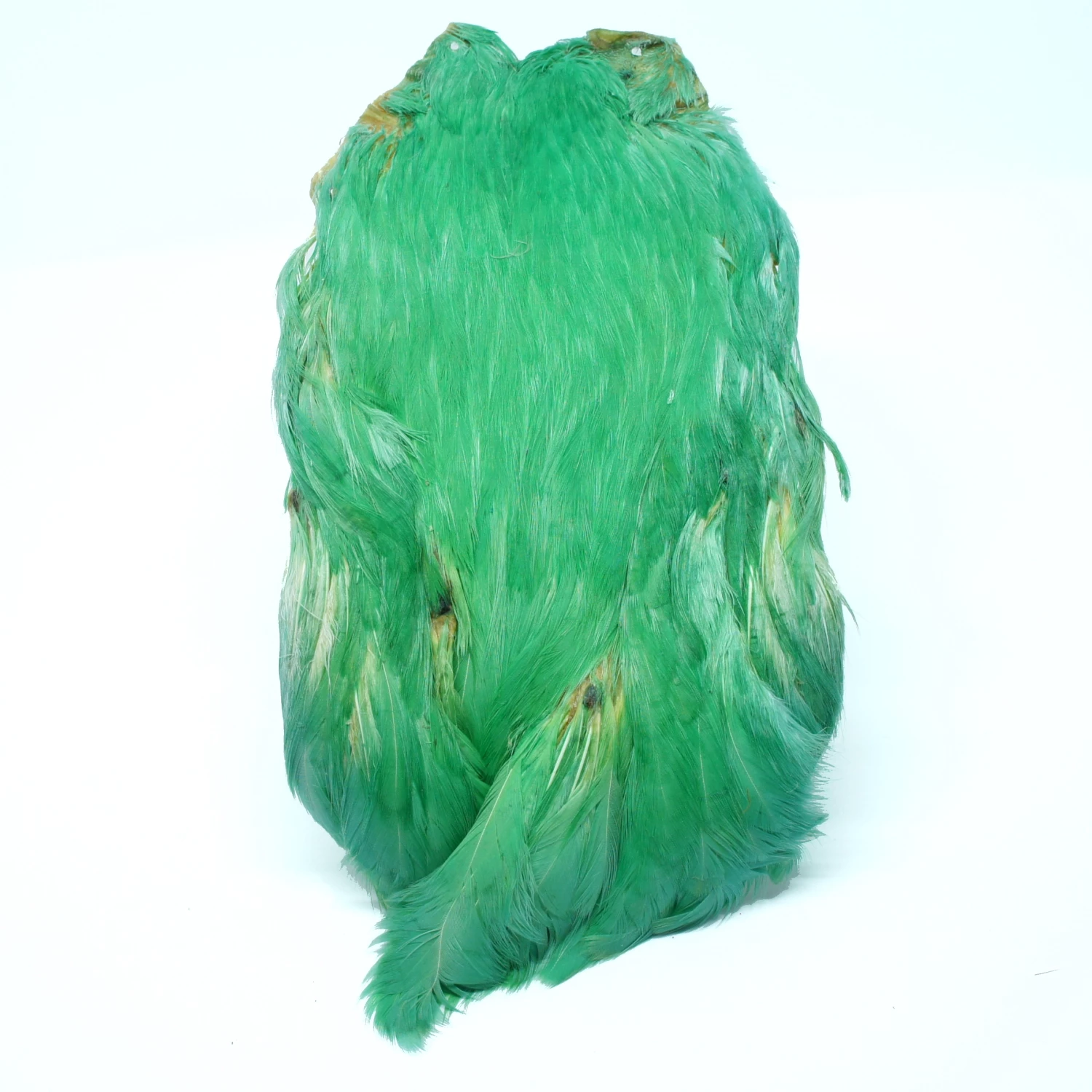 Stillwater Indian Hen Capes 5 Stillwater Indian Hen Capes - Image 5