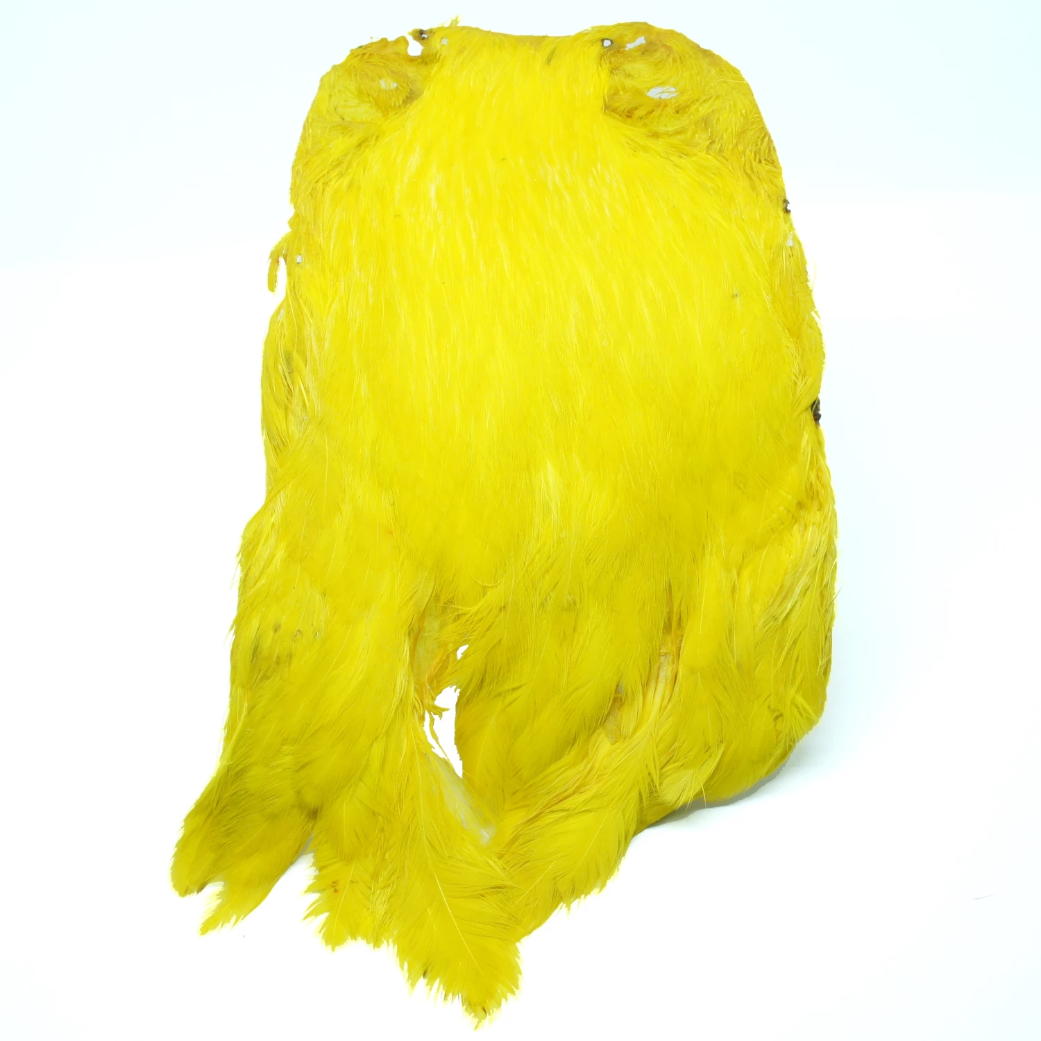 Stillwater Indian Hen Capes 9 Stillwater Indian Hen Capes - Image 9