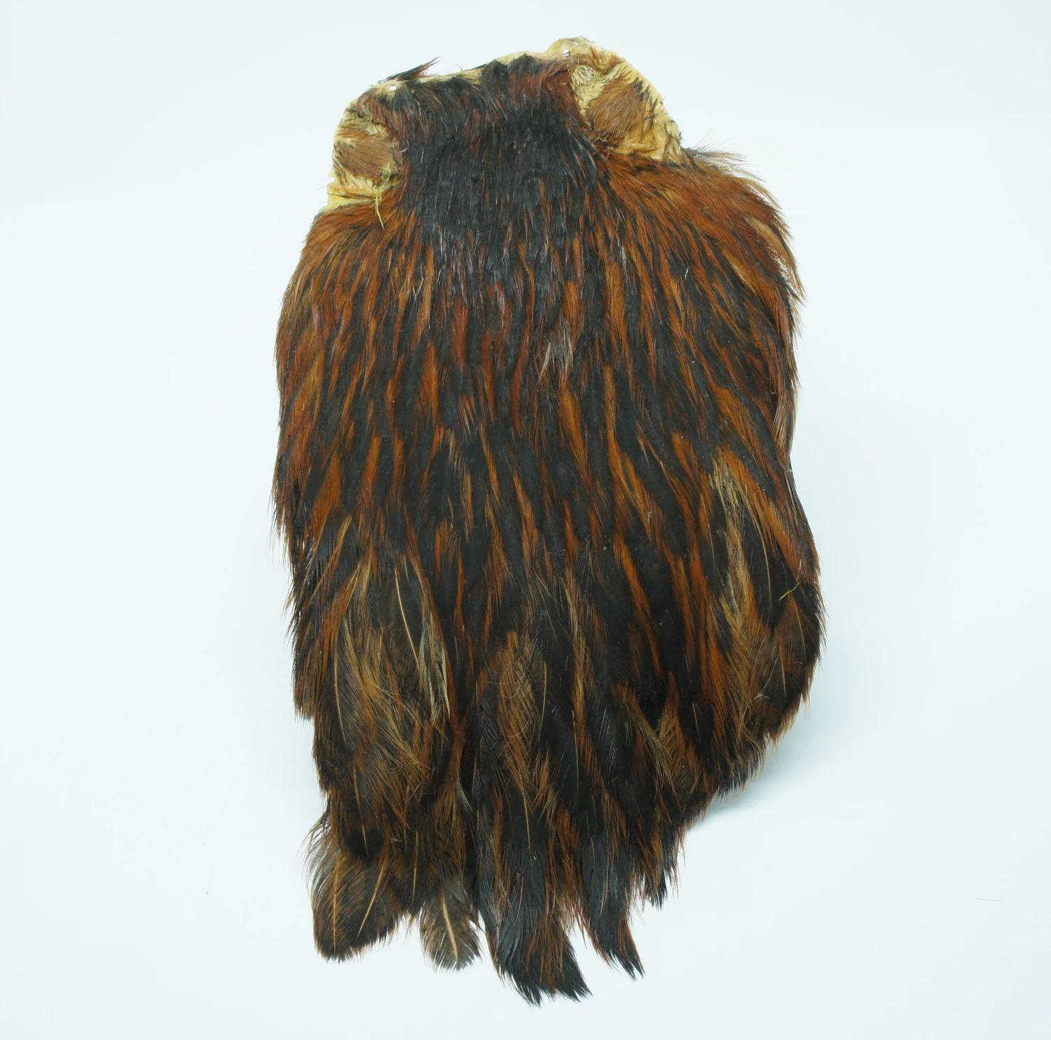 Stillwater Indian Hen Capes 10 Stillwater Indian Hen Capes - Image 10