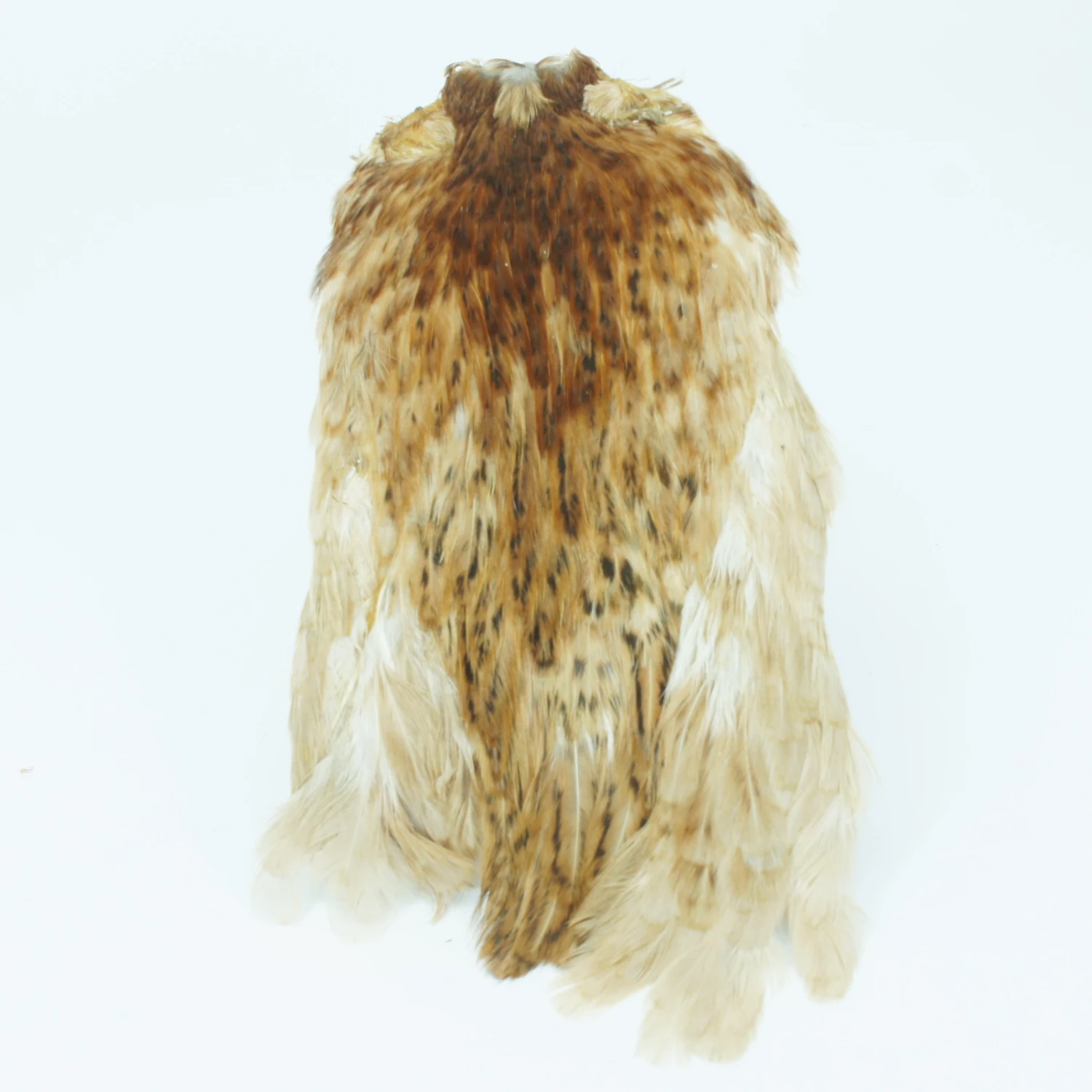 Stillwater Indian Hen Capes 11 Stillwater Indian Hen Capes - Image 11