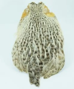 Stillwater Indian Hen Capes 25 Stillwater Indian Hen Capes -Glasgow Angling indian capes hen necks grizzle