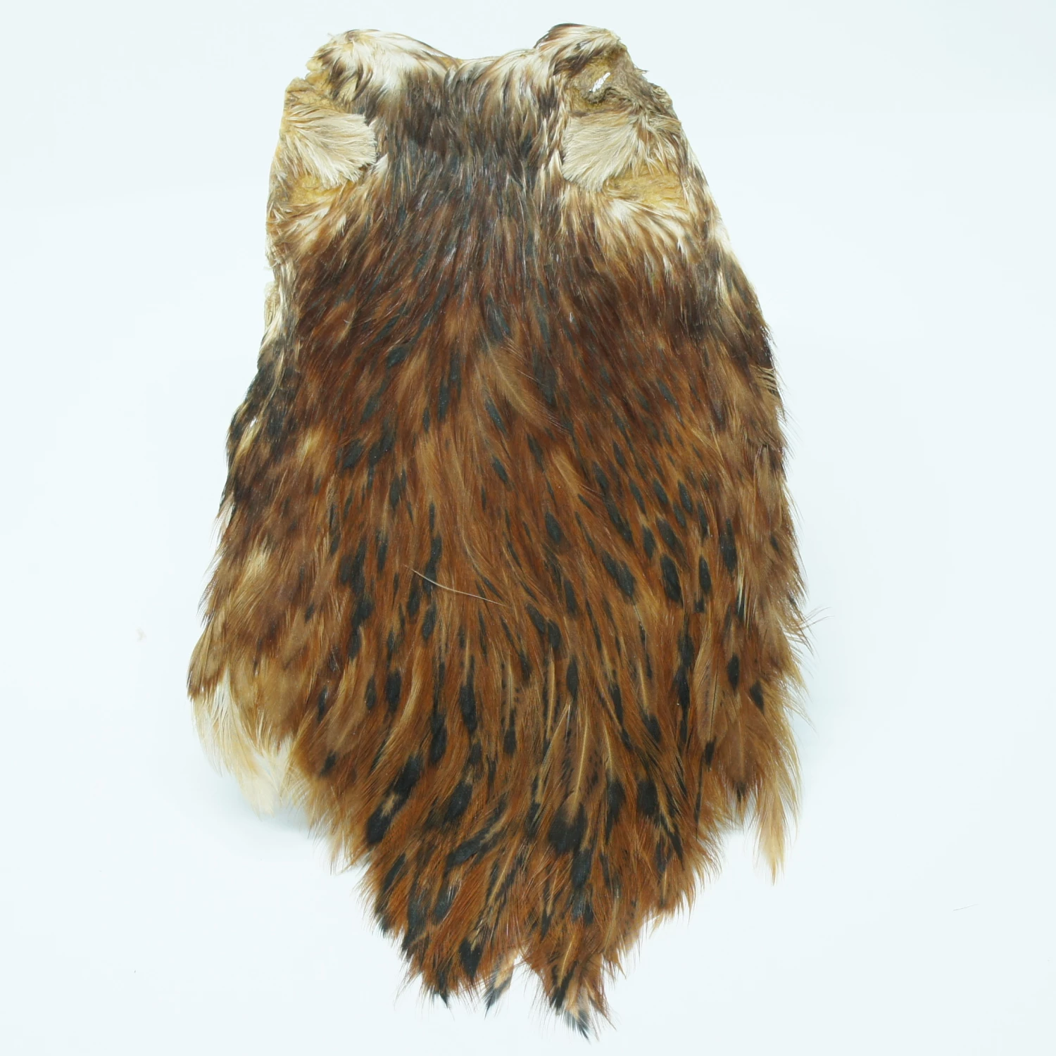 Stillwater Indian Hen Capes 14 Stillwater Indian Hen Capes - Image 14