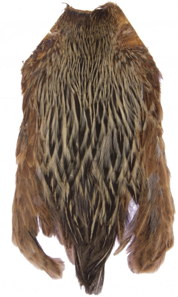 Turrall Indian Hen Neck 2 Turrall Indian Hen Neck - Image 2